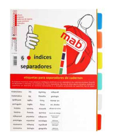 Separador plástico A4 Com 12 Pestanas