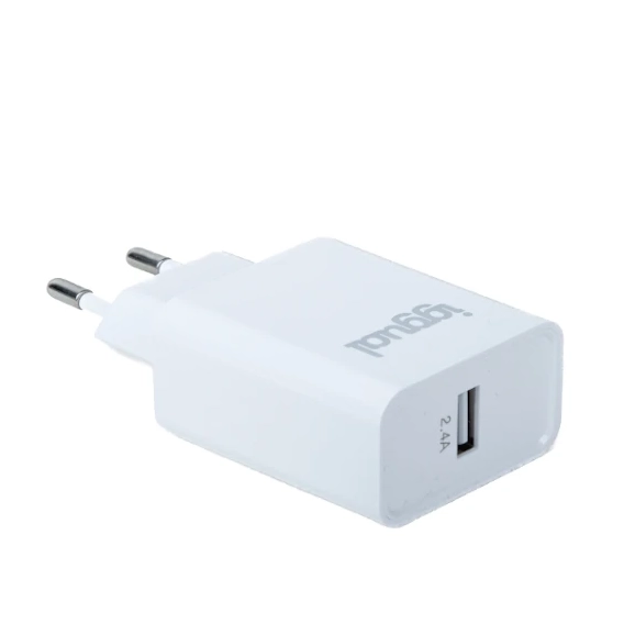 Carregador Iggual 1xUSB 5V/2.4A (12W)